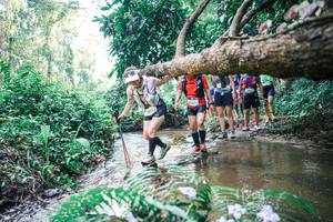 BIB: 
                            <button type="button" onclick="openModal(25461565)" class="btn btn-primary btn-sm float-right btn-popup" data-toggle="modal" data-target=".modal-high-quality">
                        <i class="fas fa-shopping-cart"></i> Add to Cart
                    </button>
                                            <button type="button" onclick="isThisMe(25461565, true)" class="btn btn-success btn-sm float-right btn-popup btn-isme hidden" data-toggle="tooltip" data-placement="bottom" title="นี่คือรูปของคุณใช่ไหม คลิกที่นี่เพื่อเอาเข้าอัลบั้ม">
                        <i class="fas fa-plus"></i> Add to album
                    </button>
                    <button type="button" onclick="isThisMe(25461565, false)" class="btn btn-warning btn-sm float-right btn-popup btn-isnotme hidden">
                        <i class="fas fa-ban"></i> Remove from album
                    </button>